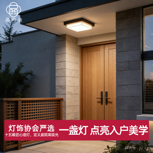 户外吸顶灯超亮防水自建房大门口感应灯室外屋檐房檐灯led阳台灯