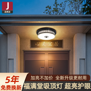 新中式别墅大门口吸顶灯防虫农村自建房院门顶灯户外阳台专用灯具