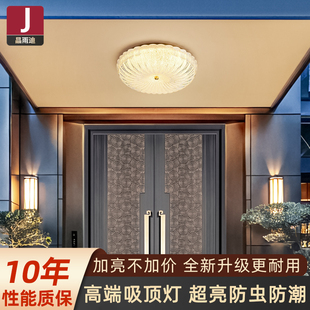 大门吸顶灯别墅自建房农村院门入户进门灯防水防蚊室外屋檐阳台灯