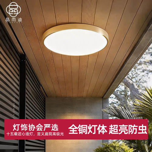 【热卖爆款】户外防水防虫吸顶灯