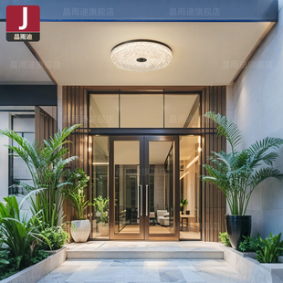 高级入户门灯户外别墅大门口吸顶灯2025年新款阳台灯室外屋檐灯