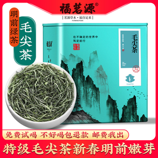 2025新茶毛尖茶叶信阳绿茶明前非特级嫩芽A浓香型散装 毛尖茶250g
