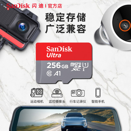 闪迪256g内存卡tf卡512g高速micro sd记录仪监控switch存储卡128g-封面