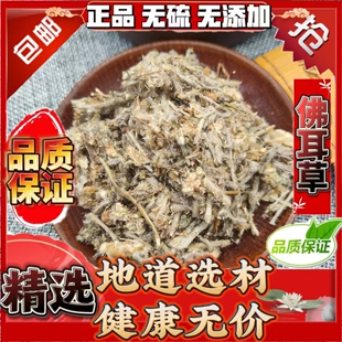 中药材佛耳草 追骨风 鼠曲草 清明草 绒毛草 鼠耳草