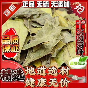 十大功劳叶中药材静萱正品野生刺黄柏叶黄天竹泡茶泡水搭功劳叶粉