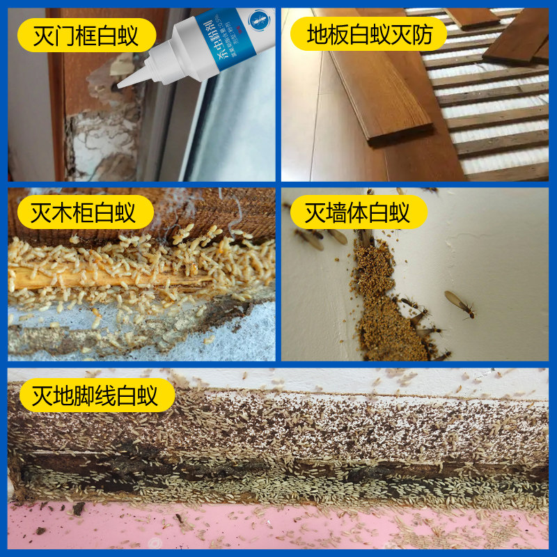 白蚁药全窝家用端防治专用药室内除灭杀飞蚁白蚂蚁药粉传染杀虫剂