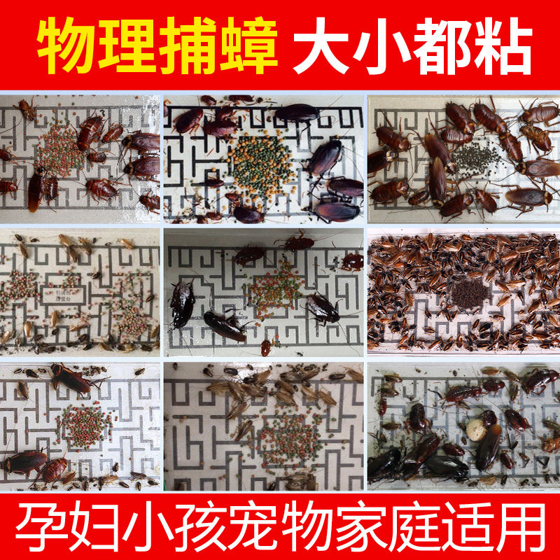 欧克乐蟑螂屋粘板家用除灭蟑螂捕捉神器诱捕器魔盒子蟑螂胶带贴纸