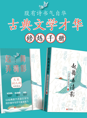 《起舞弄清影》大宋词人的诗酒风流 品读经典诗词 传承大宋风雅 做一个优雅有才华的人