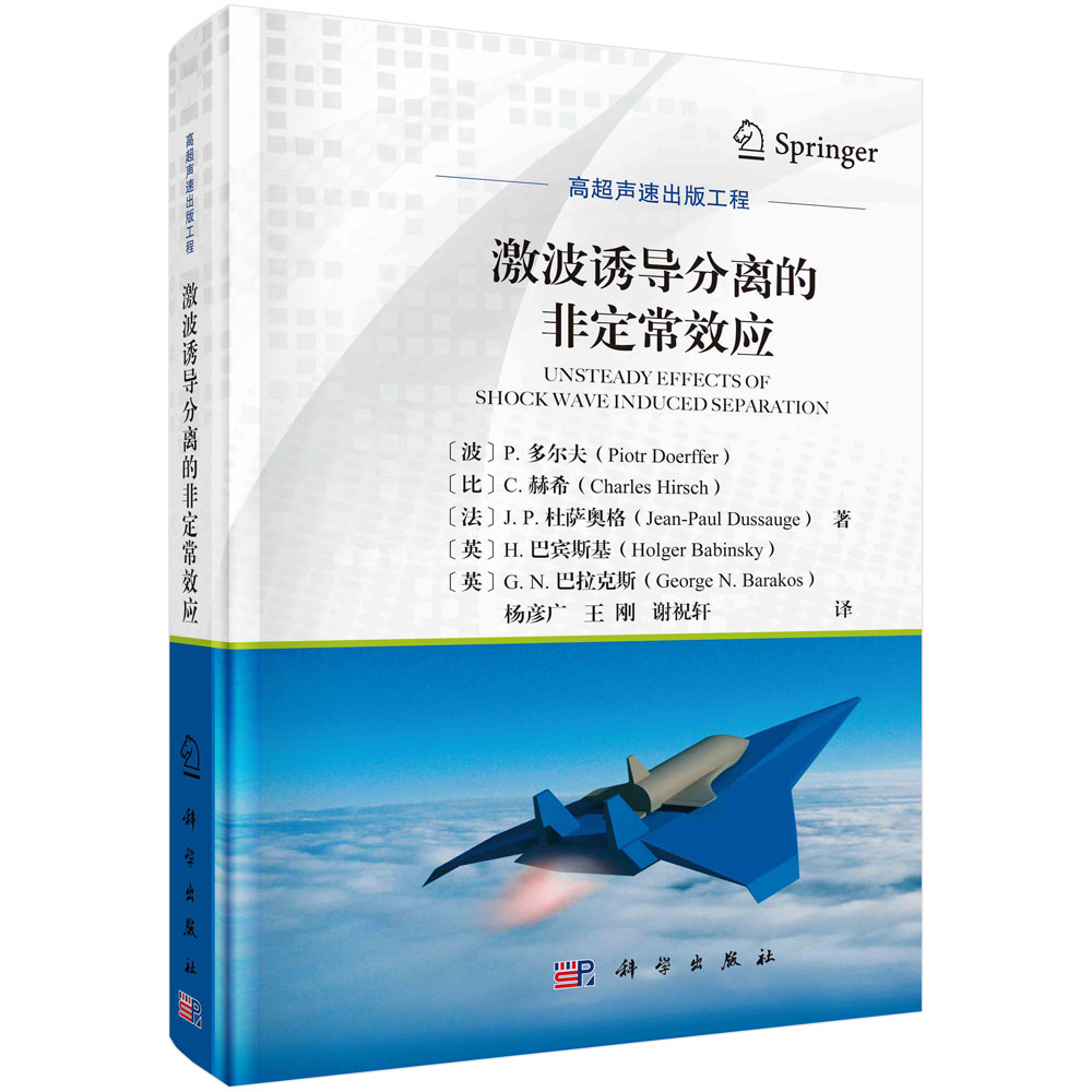 【书】激波诱导分离的非定常效书籍