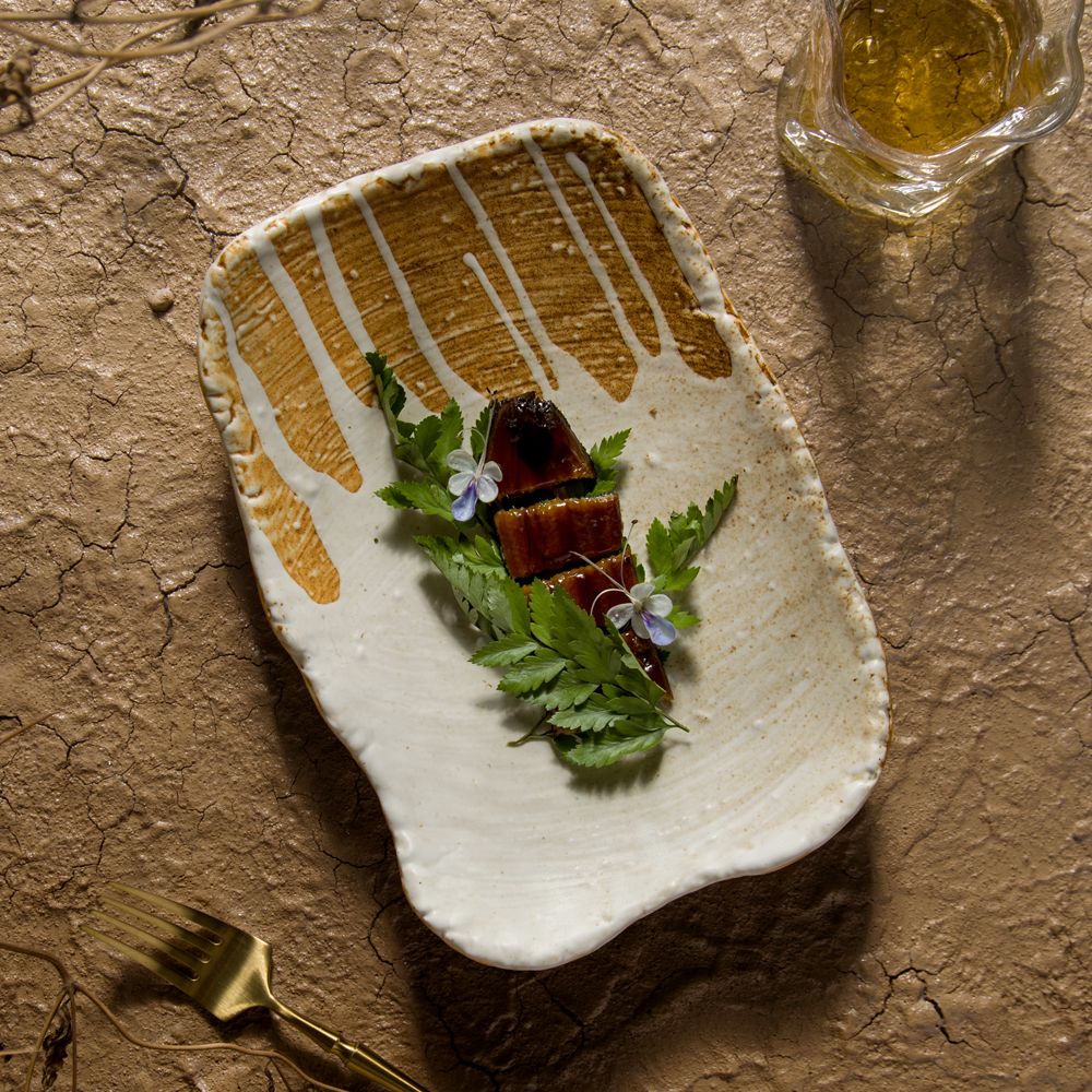 dxc长方盘陶瓷大众不规则