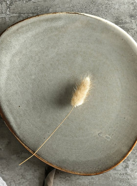 DXC 陶瓷盘北欧不规则碟子创意菜盘西餐牛排餐盘家用简约异形餐具