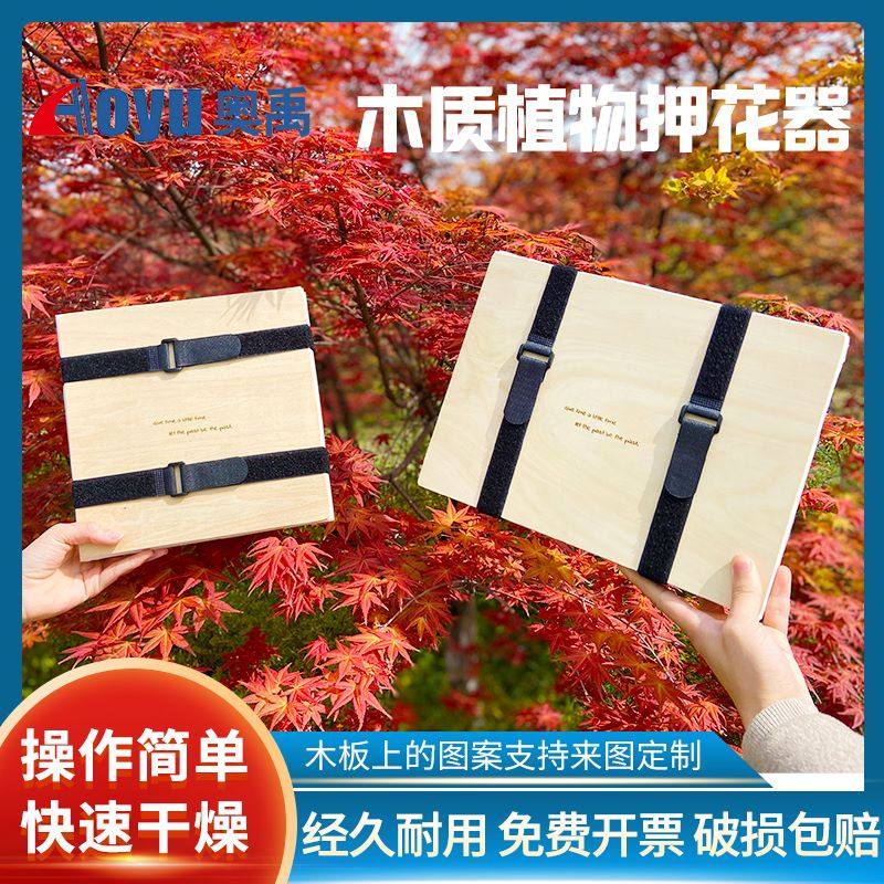 植物标本夹23*23cm木质植物押花器压花板23*30cm大号diy自制标本干花