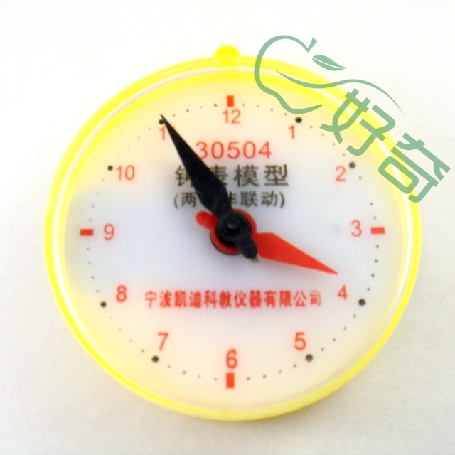 30504 钟表模型 两针非联动