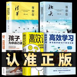 全套5册 高效学习法正版+孩子为你自己读书+等你在清华北大高效记忆学习高手的10个学习习惯学习态度方法提高高效学习方法全集