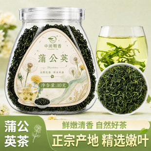 蒲公英茶花茶根可搭配菊花枸杞金银花荷叶茶菊花茶生婆婆丁茶正品