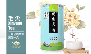 毛尖 书香250克 2023年明前头采春茶茶叶 耐泡绿茶 铁罐散装