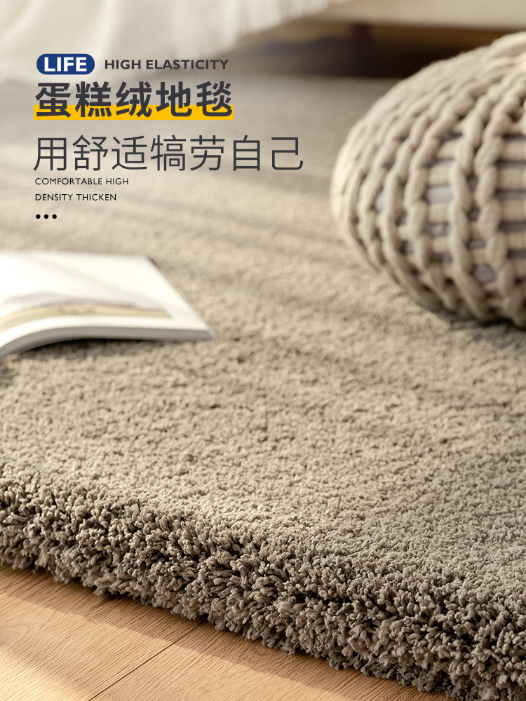 宝世岛地毯卧室新睡椅床毯客厅厚加厚长毛冬季地垫
