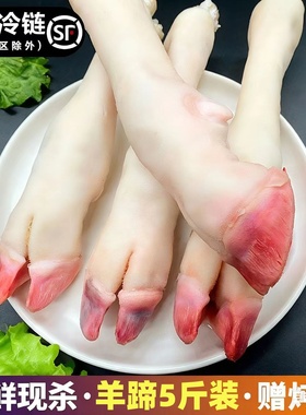 新鲜羊蹄子5斤生羊蹄带筋现杀羊脚冷冻羊爪羊脚蹄生羊蹄麻辣羊蹄