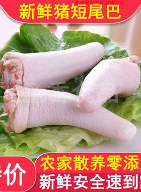 新鲜猪尾巴家用商用批发顺丰发货