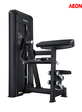 AEON 正伦CS-807 肱二头弯举训练器力量训练器材