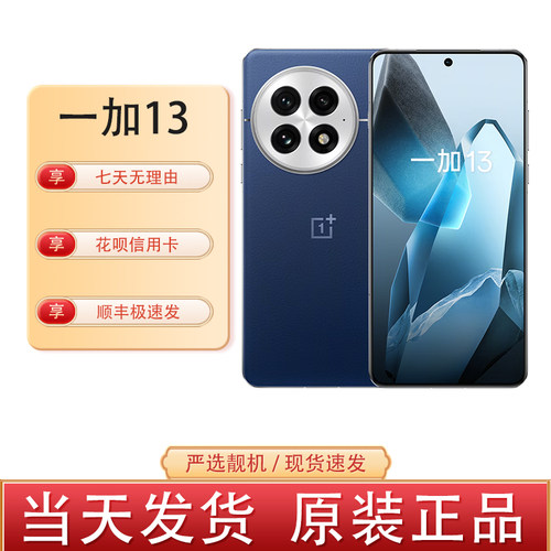 OnePlus/一加 一加 13