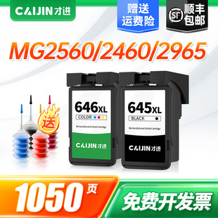 才进佳能PG-645墨盒黑彩色MG2460 2560 2960 2965 TS206 306 3160打印机原装墨水MX496 TR4560 iP2860 CL-646