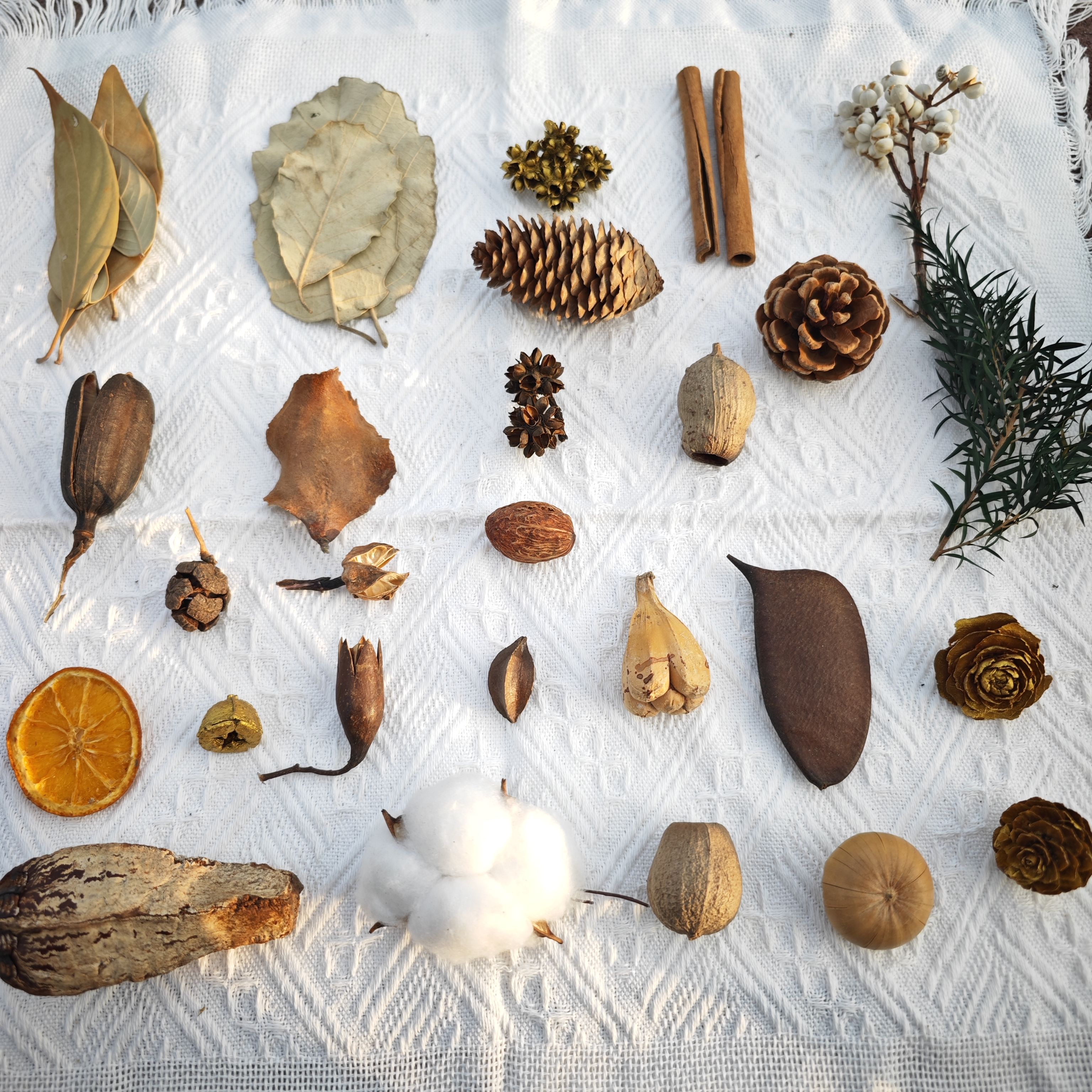 圣诞节松果干果装饰摆件diy材料