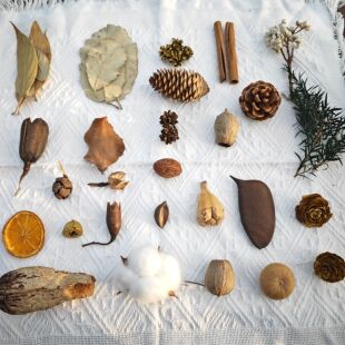 松果装饰干花创意树叶树枝干花幼儿园手工DIY相框植物材料摆件