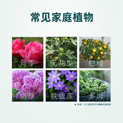 塔莎的花园 免稀释直喷矿物油红蜘蛛家庭植物月季杀虫剂盆栽绿植