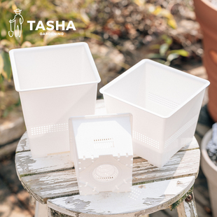 塔莎 呼吸盆控根树脂花盆多肉绿植防烂根塑料透气透水 花园X花信