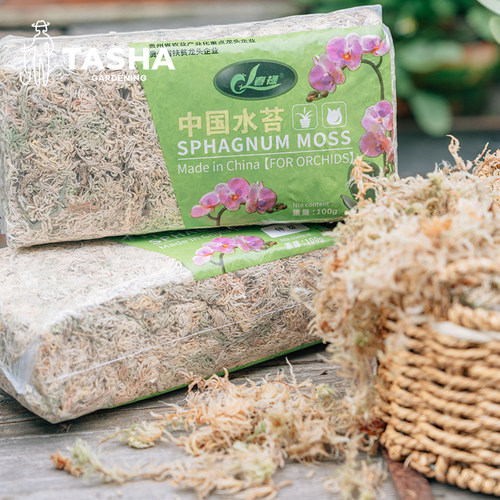 塔莎的花园苔藓石斛保湿专用土