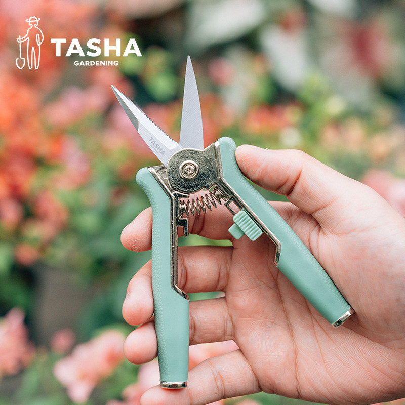 塔莎的花园园艺剪刀修枝工具三角梅花卉修剪打顶专用尖头剪不锈钢,鲜花速递/花卉仿真/绿植园艺,剪刀,淘宝优惠券,粉丝福利购,淘宝优惠卷