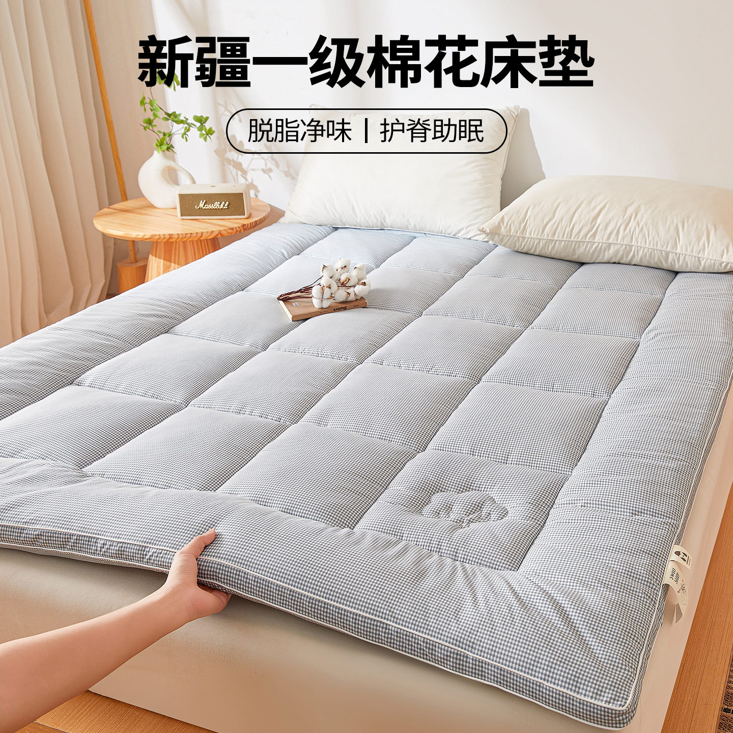 0甲醛无异味冬天家用加厚床垫褥