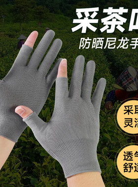 【采摘茶叶用】露二指尼龙手套