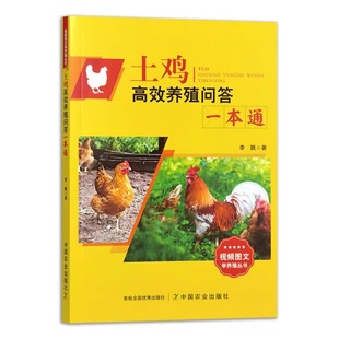 土鸡高效养殖问答一本通 土鸡饲养殖管理技术 土鸡疾病防治技术 种鸡繁育 种蛋孵化 土鸡营养与饲料配制 养鸡技术大全 鸡病防治书