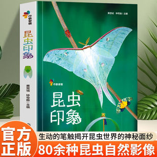昆虫印象行色自然多样昆虫形态与生活场景画面细腻捕捉昆虫细节色彩贴合自然本真直观感受昆虫的独特魅力沉浸式的自然观察体验