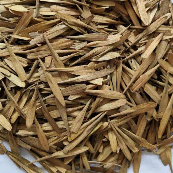 白蜡种子 对节金叶白蜡种籽 小叶大叶树籽速生白蜡种子白蜡树种子 - 实物图