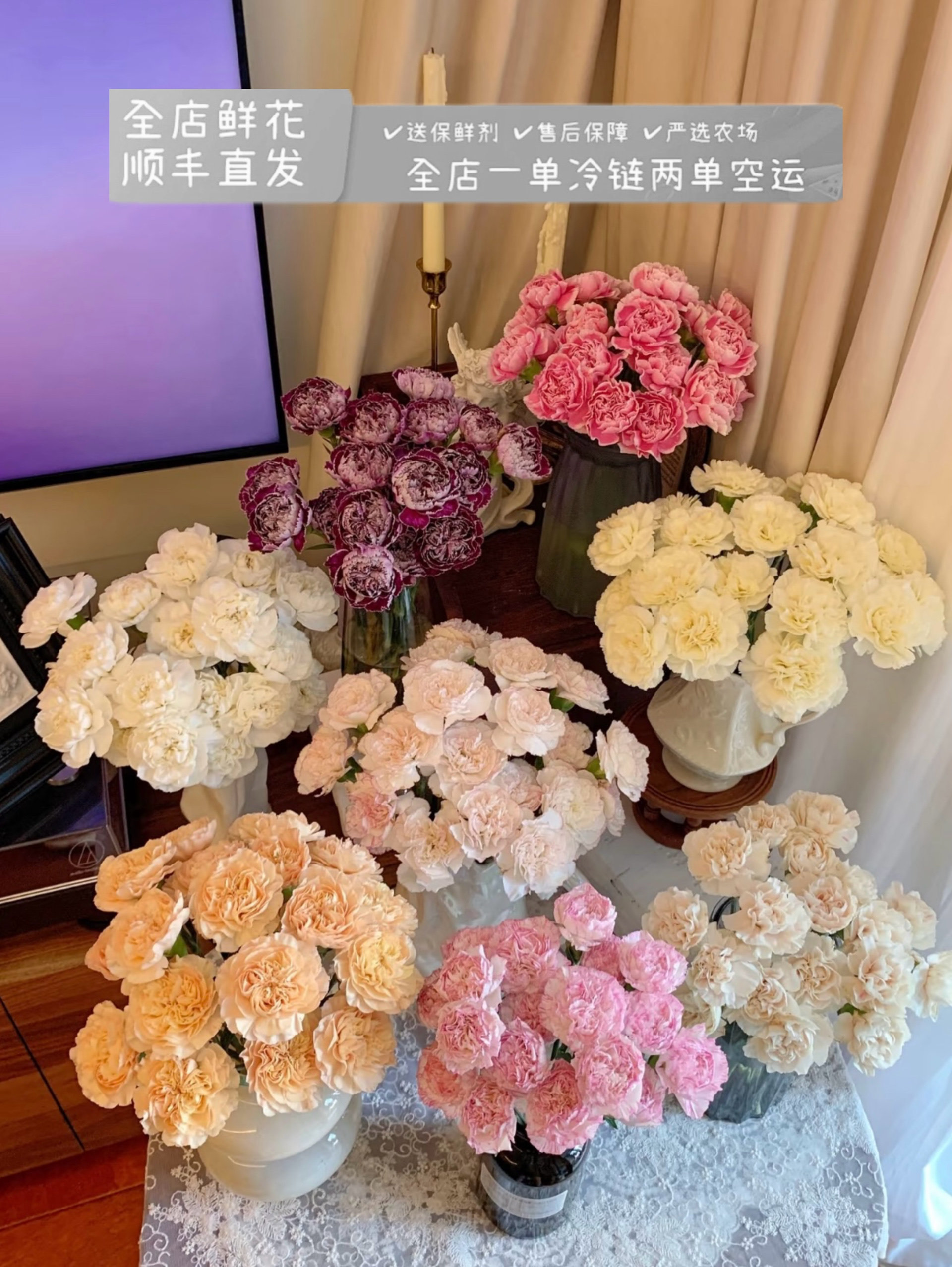 云南基地直发单头康乃馨鲜花礼物