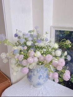 （翠珠草花）鲜切花云南昆明鲜切花插花搭配瓶插配花水养鲜花