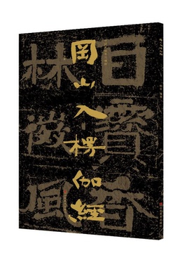 正版图书丨 冈山入楞伽经/中国石刻书法精粹  （中国）赖非 9787533073640