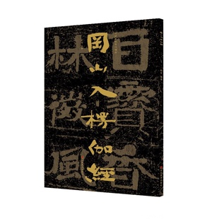 正版图书丨 冈山入楞伽经/中国石刻书法精粹  （中国）赖非 9787533073640