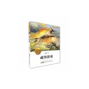 正版9成新图书丨 藏獒渡魂沈石溪　著安徽少年儿童出版社9787539768687  沈石溪 9787539768687