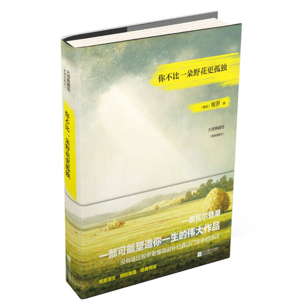 正版9成新图书丨 你不比一朵野花更孤独  [美]梭罗；郭跃渊  译 9787539984360