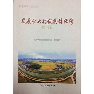 正版9成新图书丨 发展壮大村级集体经济案例选  中共中央组织部组织二局 9787509909645