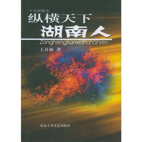 正版9成新图书丨 纵横天下湖南人  王开林著 9787530207017