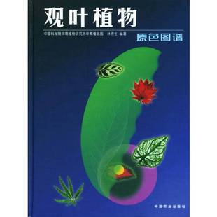 正版9成新图书丨 观叶植物原色图谱 中国科学院华南植物研究所华南植物园,林侨生编著 9787109073623