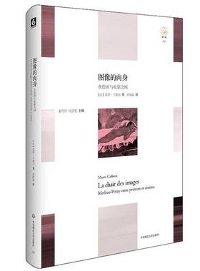 正版9成新图书丨 图像的肉身：在绘画与电影之间  （法）莫罗·卡波内（Mauro Carbone）著 9787567549401