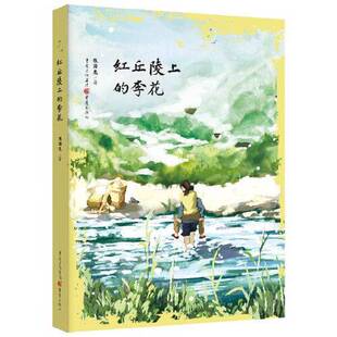 正版9成新图书丨 红丘陵上的的李花  张国龙 9787229146825