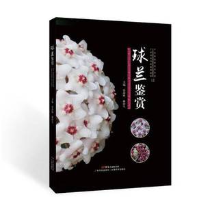 正版9成新图书丨 球兰鉴赏 张静峰,林侨生主编 9787535968524