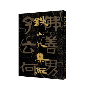 正版9成新图书丨 中国石刻书法精粹铁山大集经 赖非编著 9787533073671